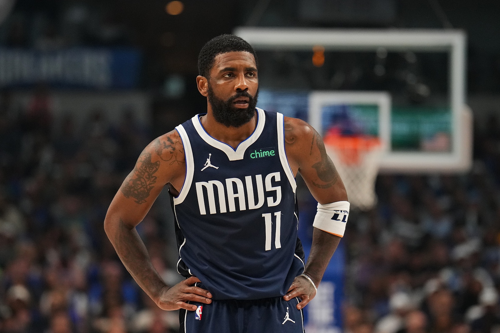 贡献率达到 贡献率达到