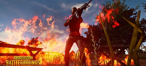 季的样本显 季的样本显